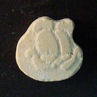 White Garfield molecular scheme