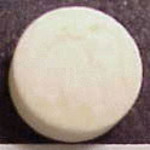 Elephant molecular scheme