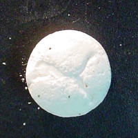 Puma molecular scheme