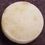 48 Hours molecular scheme