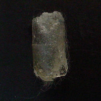 MOLLY T76 molecular scheme