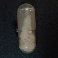 G-Lady molecular scheme