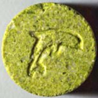 Dolphin molecular scheme