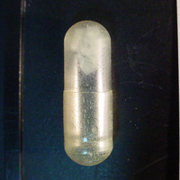 Capsule molecular scheme