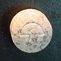 Mushroom X molecular scheme