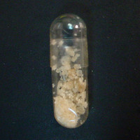 Unknown Capsule molecular scheme