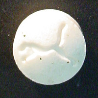 White Puma molecular scheme