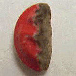 Butterfly molecular scheme