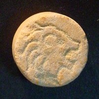 Lions molecular scheme