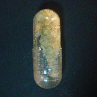 Capsule molecular scheme