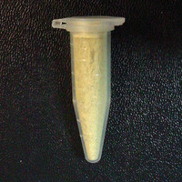 Epindorph Tube molecular scheme