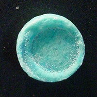 Blue Circle molecular scheme