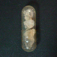 Molly Capsule molecular scheme