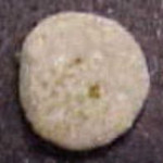 [unspecified] molecular scheme