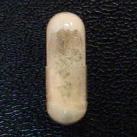 Capsule B molecular scheme