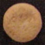 Orange Butterfly molecular scheme