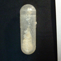 Molly Capsule molecular scheme