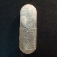 Unknown Capsule molecular scheme