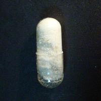 Molly Capsule molecular scheme