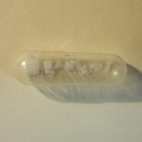 Molly Capsule molecular scheme