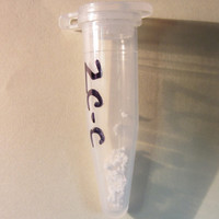 2C-C molecular scheme