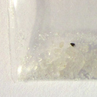 Moon Rock molecular scheme