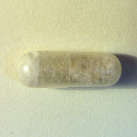 Powder in Capsule molecular scheme