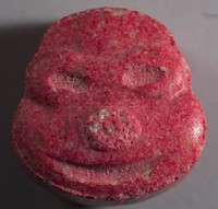 Turtle molecular scheme