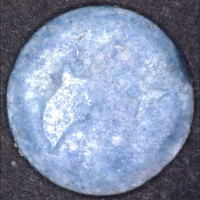 Delfin molecular scheme