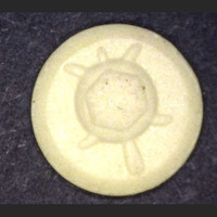 Schildkroete molecular scheme