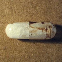 Capsule molecular scheme