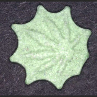 Hanfblatt molecular scheme