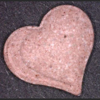 Herz molecular scheme