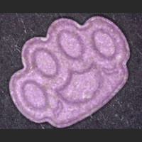 Schlagring/Tatze molecular scheme