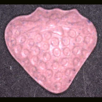 Erdbeere molecular scheme