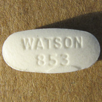WATSON 853 molecular scheme