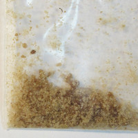 Molly crystals molecular scheme