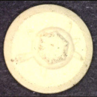 Schildkröte molecular scheme