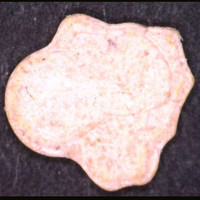 Joshi molecular scheme