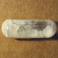 Molly molecular scheme