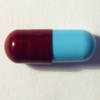 Molly molecular scheme