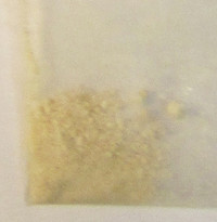 [No Name] molecular scheme