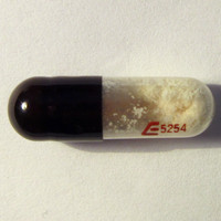 E5254 molecular scheme