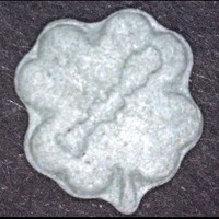 Kleeblatt molecular scheme