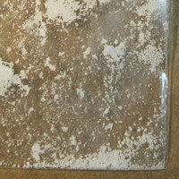 Molly molecular scheme