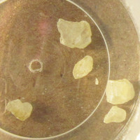 Molly molecular scheme