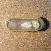 MDMA molecular scheme