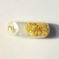 Molly molecular scheme