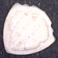 Warner Brothers molecular scheme