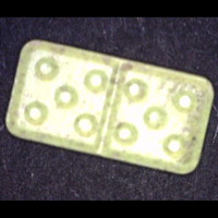 Domino-Stein molecular scheme